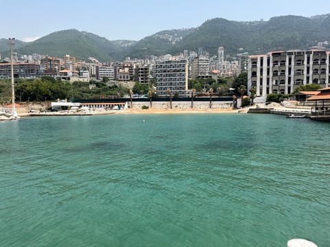 Green beach — photograph 2