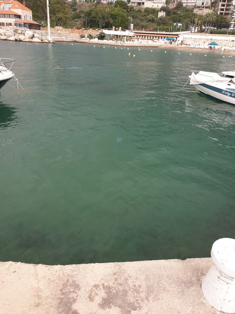 Green beach — photograph 6