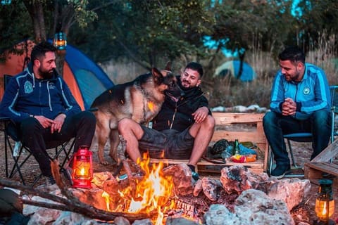 Cedars Ground Campsite — photograph 5