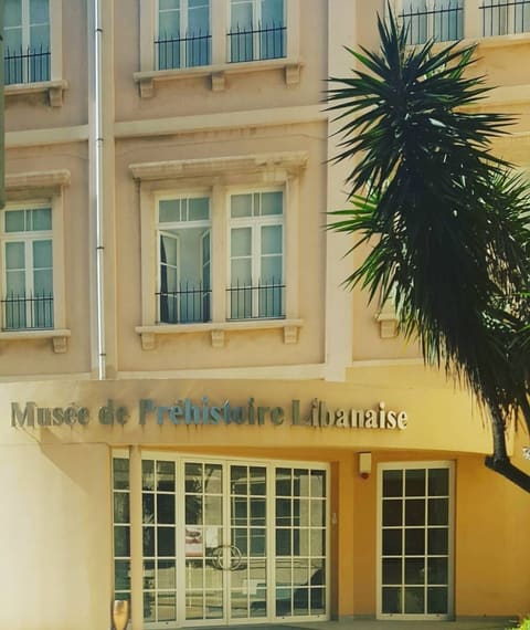 Museum of Lebanese Prehistory — photograph 2