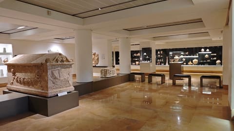 Museum of Lebanese Prehistory — photograph 3
