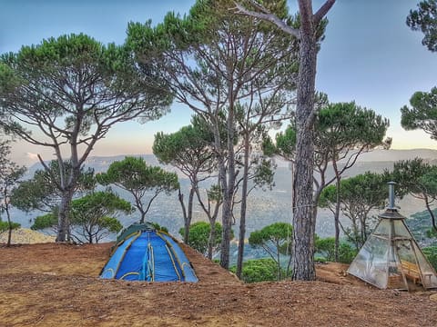 Le Camp — photograph 3