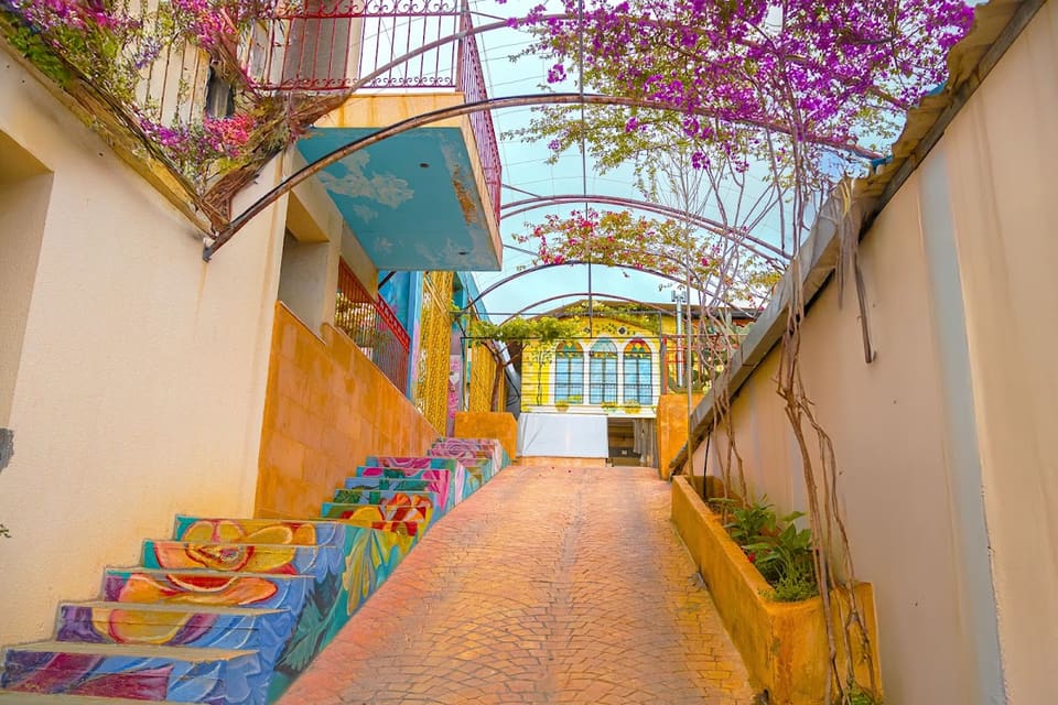 Damask Rose Lebanese Guest House