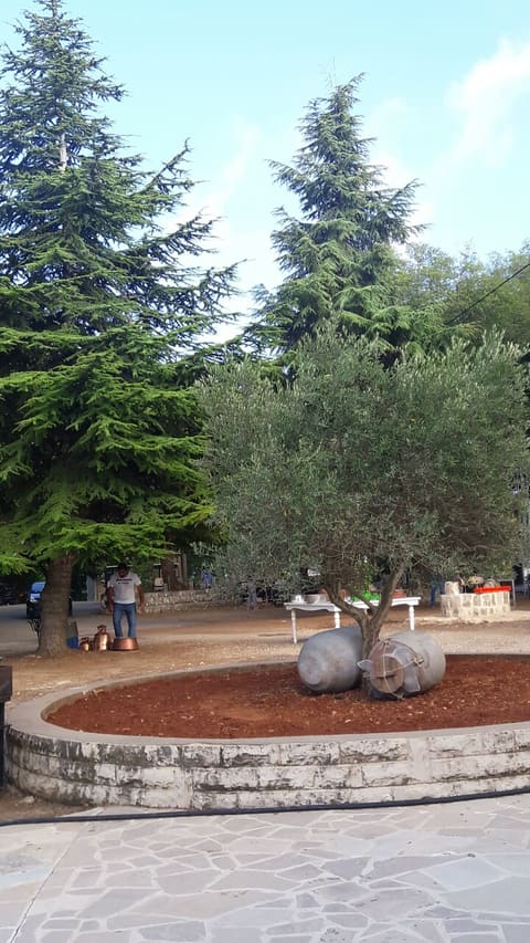 Residence Khodor — photograph 5