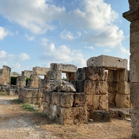 Ruins of Tyre Necropolis — photograph 4
