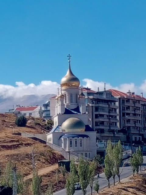 Lady of Joy Eastern Orthodox Church — photograph 6