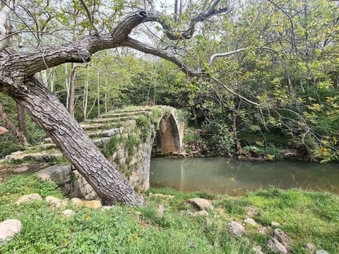 Kahlounieh Old Bridge — photograph 2