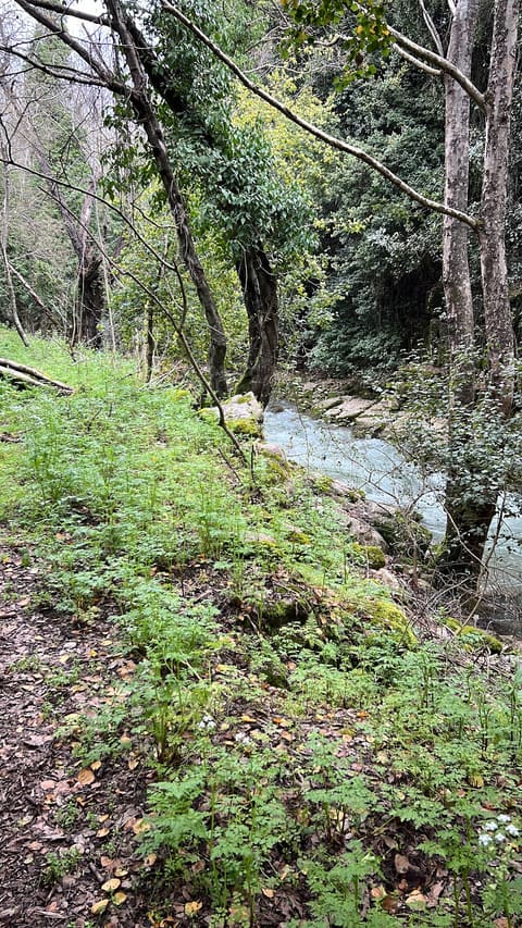 Kahlounieh Old Bridge — photograph 5