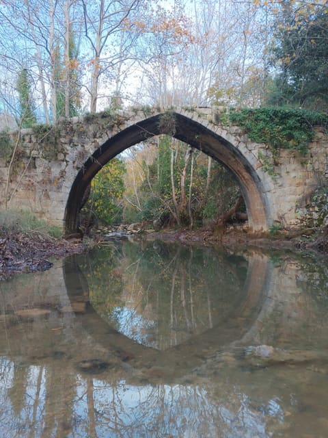 Kahlounieh Old Bridge — photograph 6