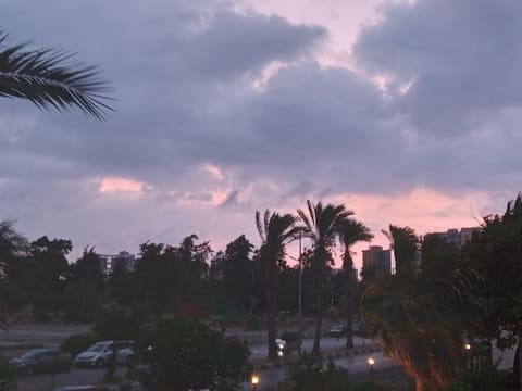 El Ghandour — photograph 6