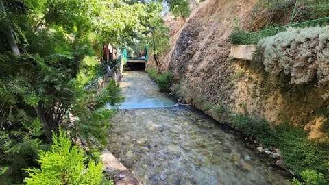 Berdawni River — photograph 3