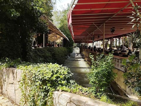 Berdawni River — photograph 4