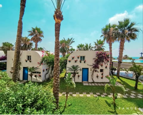 Pangea Beach Resort — photograph 4