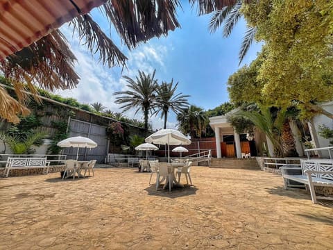 Palms Lady Resort — photograph 6