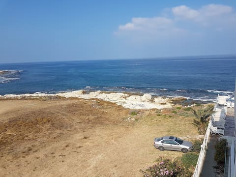 Sea Star Beach Resort — photograph 4