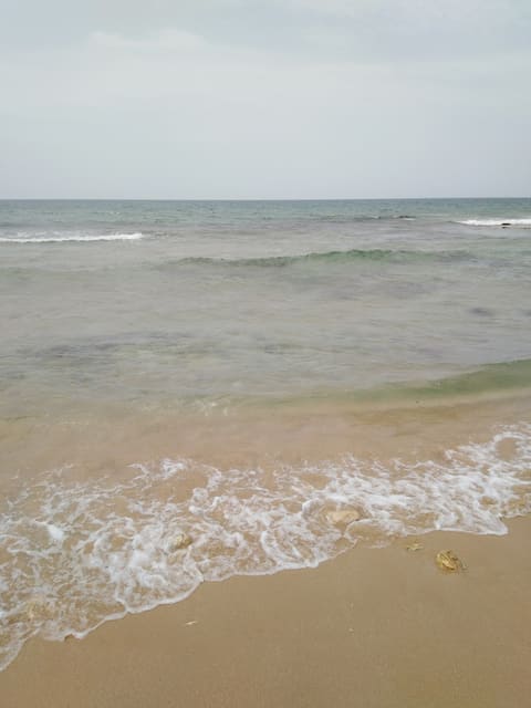 Bellevue Beach For Women — photograph 6