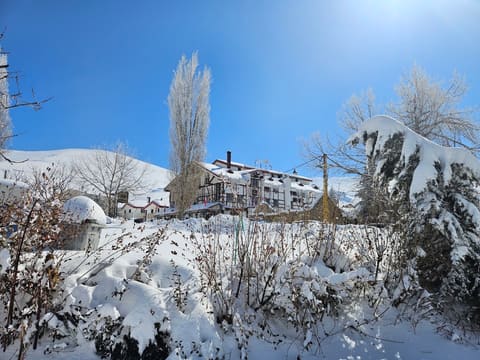 Mon Refuge — photograph 4