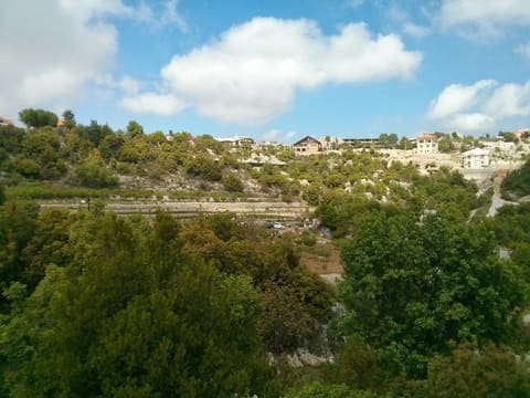 Bader Rock — photograph 6