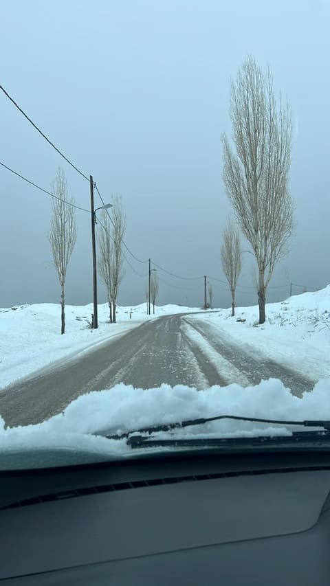 Tombe La Neige — photograph 5