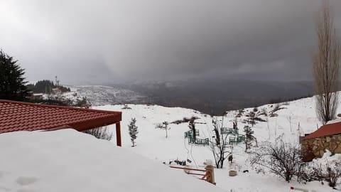 Alpine Hotel — photograph 3