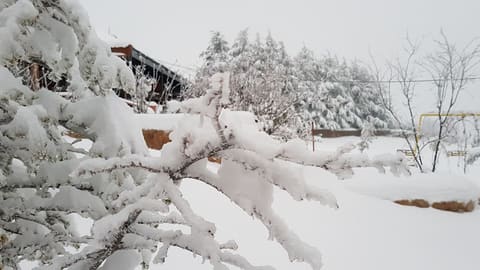 Alpine Hotel — photograph 4