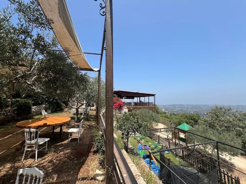 Terrasses Abdelli — photograph 3