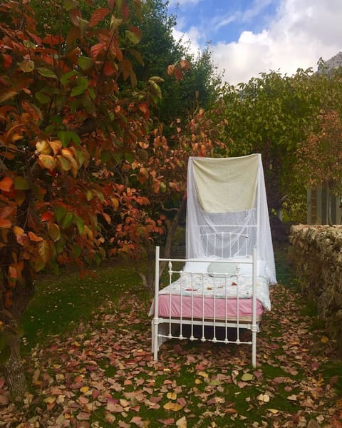 Guita bed&bloom — photograph 5