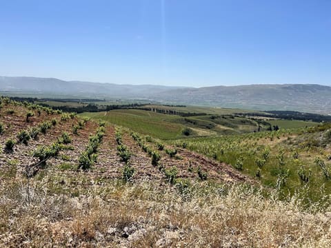 Khirbet Qanafar Promenades — photograph 2