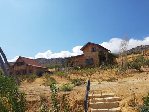TJ Village — photograph 2