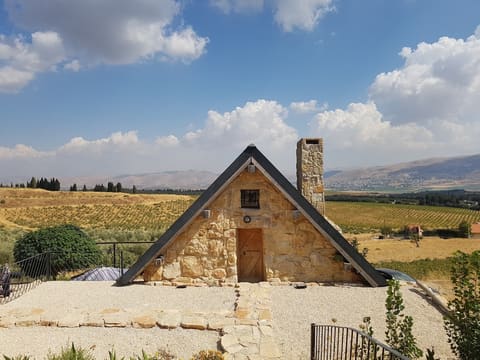 TJ Village — photograph 3
