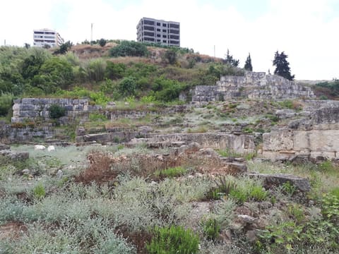 Temple of Eshmun — photograph 5
