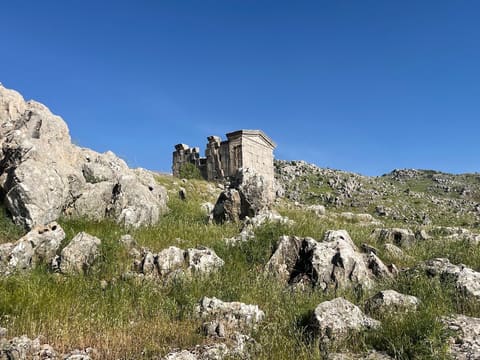 Ain Hirsha Roman Temple — photograph 4