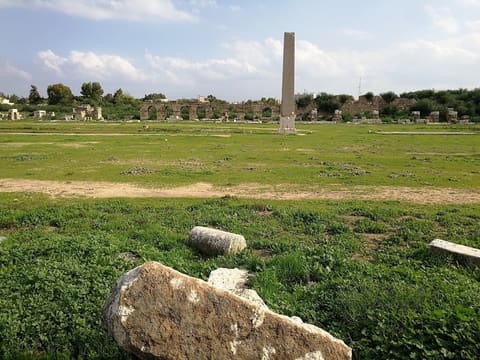 Tyre Hippodrome — photograph 2