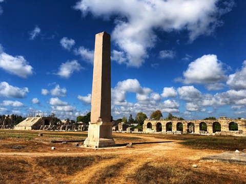 Tyre Hippodrome — photograph 3