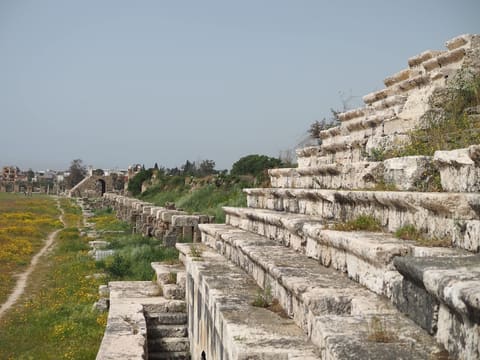Tyre Hippodrome — photograph 4