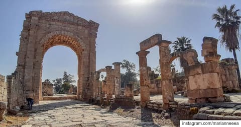 Tyre Hippodrome — photograph 5