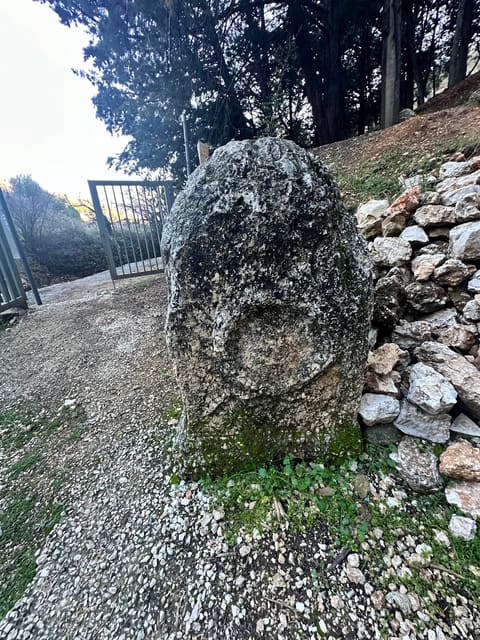 Nymphaeum of Temnin el-Foka — photograph 4