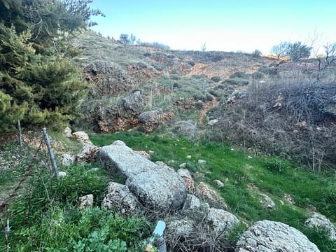 Nymphaeum of Temnin el-Foka — photograph 5