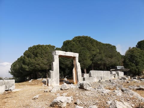 Qasr Naous — photograph 2
