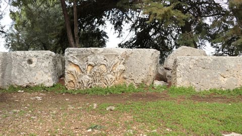 Qasr Naous — photograph 5