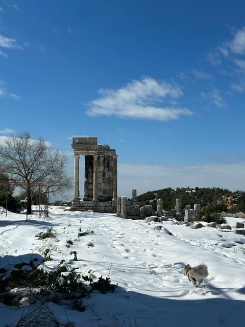 Mashnaqa Archaeological Site — photograph 5