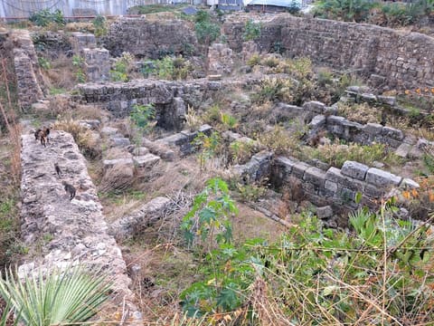 Roman ruins — photograph 4