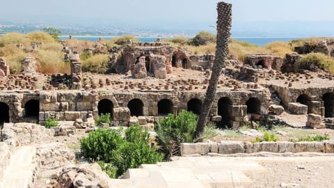 Tyre World Heritage Site — photograph 3