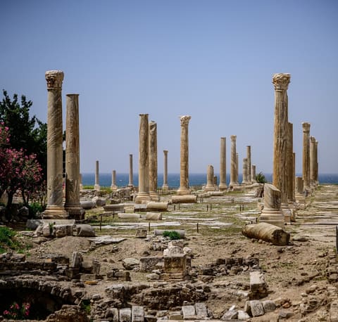 Tyre World Heritage Site — photograph 6