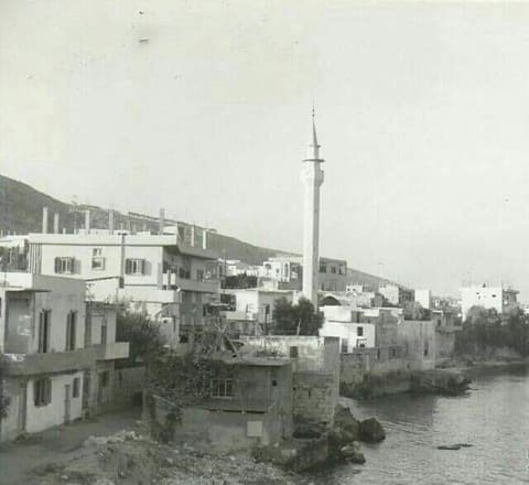 Sea Mosque — photograph 2