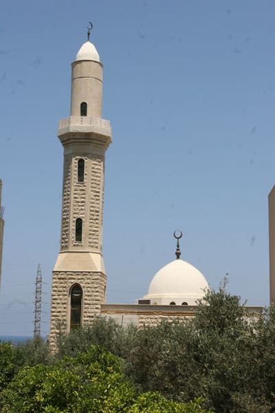 Azm Mosque — photograph 5