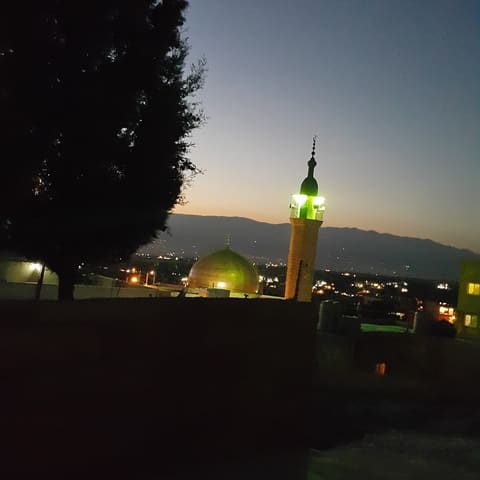 Masjed El Imam El Hussein (3) — photograph 6