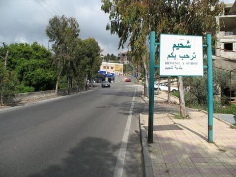 Jami3 Es Souk Shahim — photograph 3