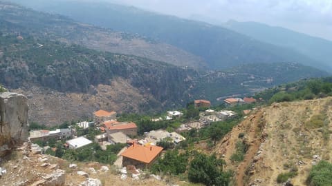 Label ehden — photograph 5