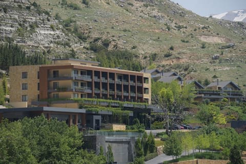 MIST Hotel & Spa — photograph 4